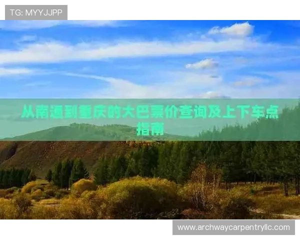 世界杯伊拉克对挪威比赛门票购买流程及实用购票建议指南